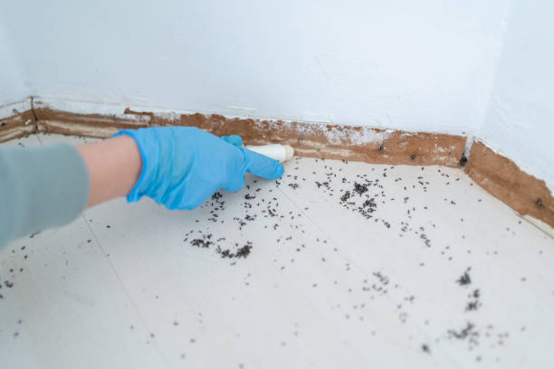 Best Pest Inspection Near Me  in Saylorsburg, PA
